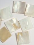 Mosaic stones mother of pearl natural 15x15