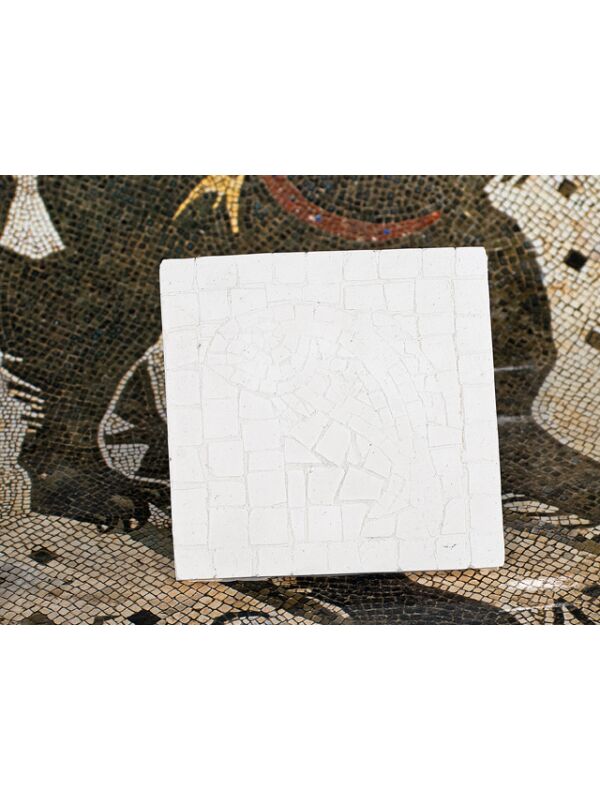 Mosaik 3er Set, Rom Fisch Mosaikfliese bemalen, Mal Vorlage